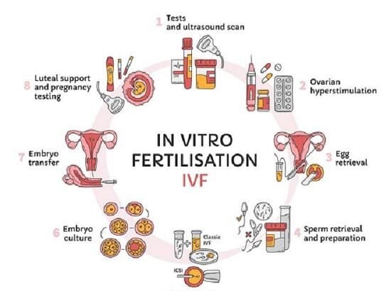 What Is Included in Fertility Care?