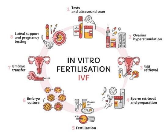 What Is Included in Fertility Care?